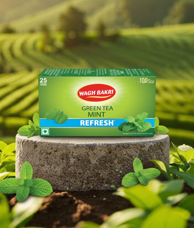 Mint Green Tea Bags